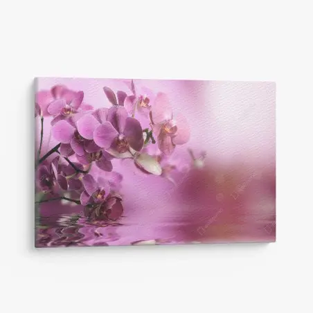 Cuadro en lienzo orquídeas rosadas en reflejo acuático – Pixers®