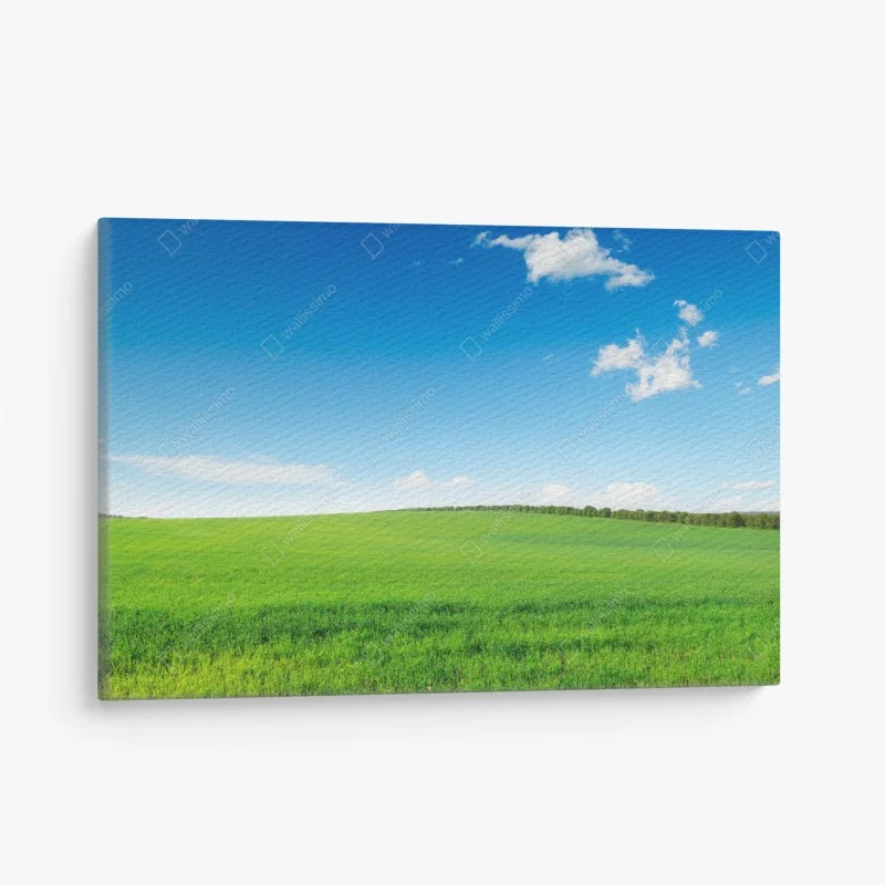 Cuadro en lienzo paisaje sereno de pradera verde y cielo azul