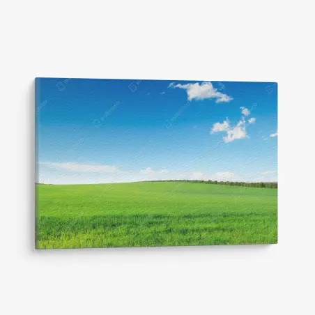 Cuadro en lienzo paisaje sereno de pradera verde y cielo azul – Pixers®