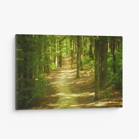 Cuadro en lienzo sendero luminoso en el bosque – Pixers®