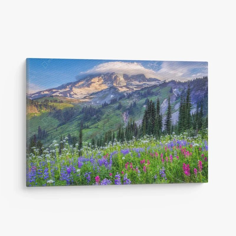 Cuadro en lienzo paisaje alpino de flores silvestres al atardecer