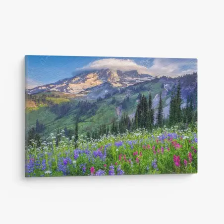 Cuadro en lienzo paisaje alpino de flores silvestres al atardecer – Pixers®