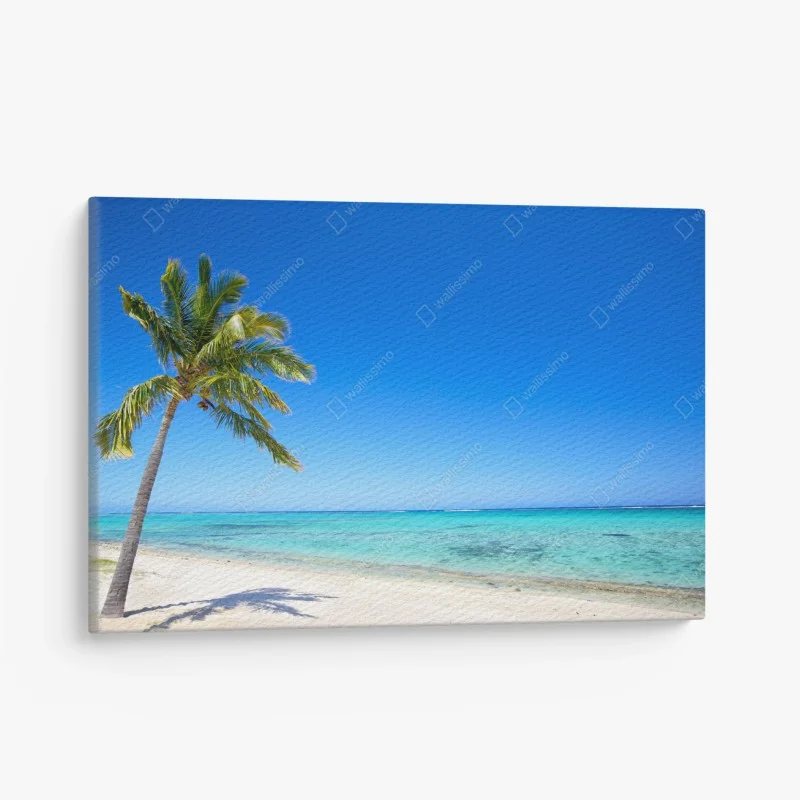 Cuadro en lienzo paraíso tropical con palmera junto al mar