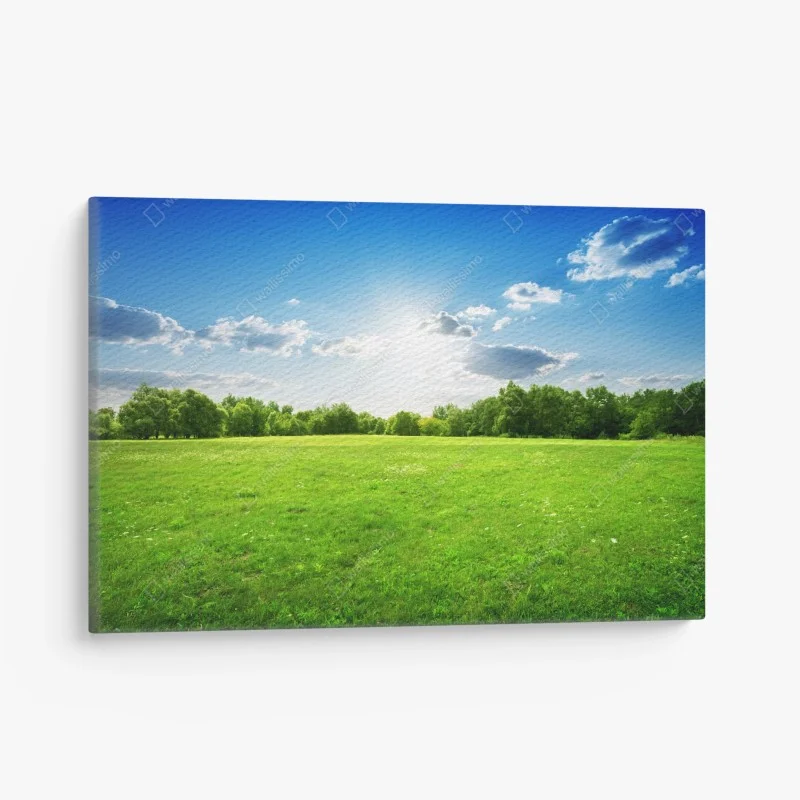 Cuadro en lienzo amanecer sobre pradera verde y cielo azul