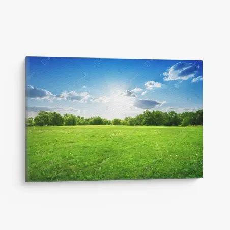 Cuadro en lienzo amanecer sobre pradera verde y cielo azul – Pixers®