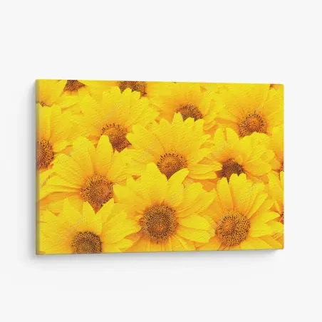 Cuadro en lienzo explosión de girasoles luminosos – Pixers®