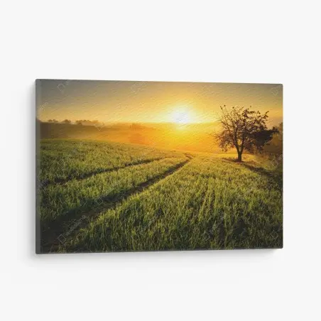 Cuadro en lienzo amanecer dorado en laderas onduladas – Pixers®