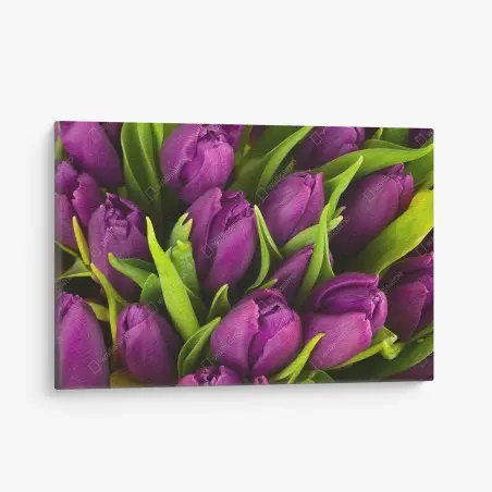 Cuadro en lienzo ramo de tulipanes morados en primer plano – Pixers®