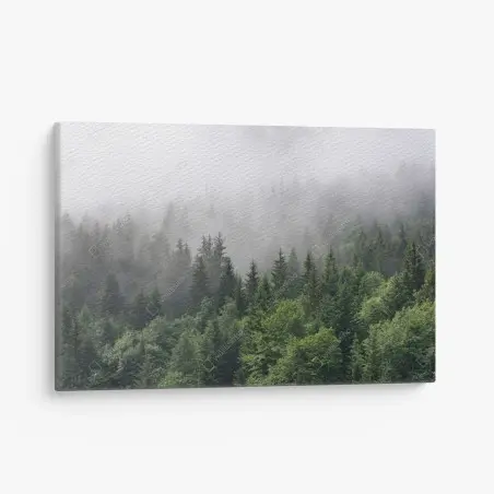 Cuadro en lienzo bosque perenne entre la niebla – Pixers®