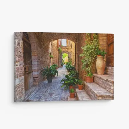 Cuadro en lienzo calle empedrada con macetas en Spello, Umbria – Pixers®
