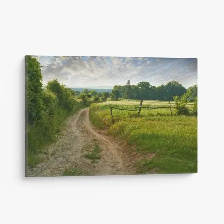 Cuadro en lienzo camino rural entre prados al amanecer – Pixers®