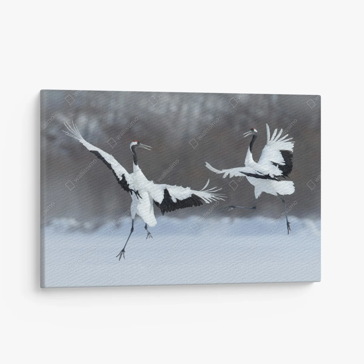 Cuadro en lienzo grullas en danza en Hokkaido – Pixers® Cuadro en lienzo grullas en danza en Hokkaido – Pixers®