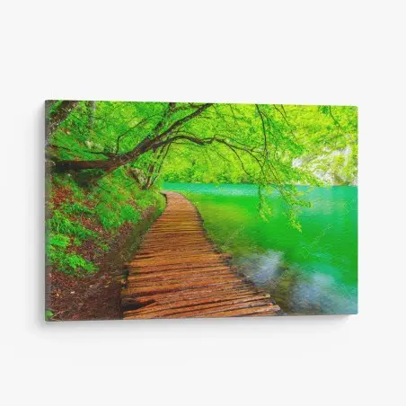 Cuadro en lienzo sendero de madera junto al lago en bosque verde – Pixers®