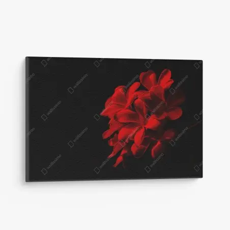 Cuadro en lienzo plumeria roja en contraste dramático – Pixers®