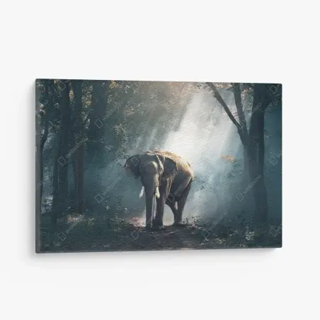 Cuadro en lienzo elefante entre rayos de luz en el bosque – Pixers®