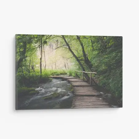Cuadro en lienzo sendero de madera en bosque frondoso junto al río – Pixers®