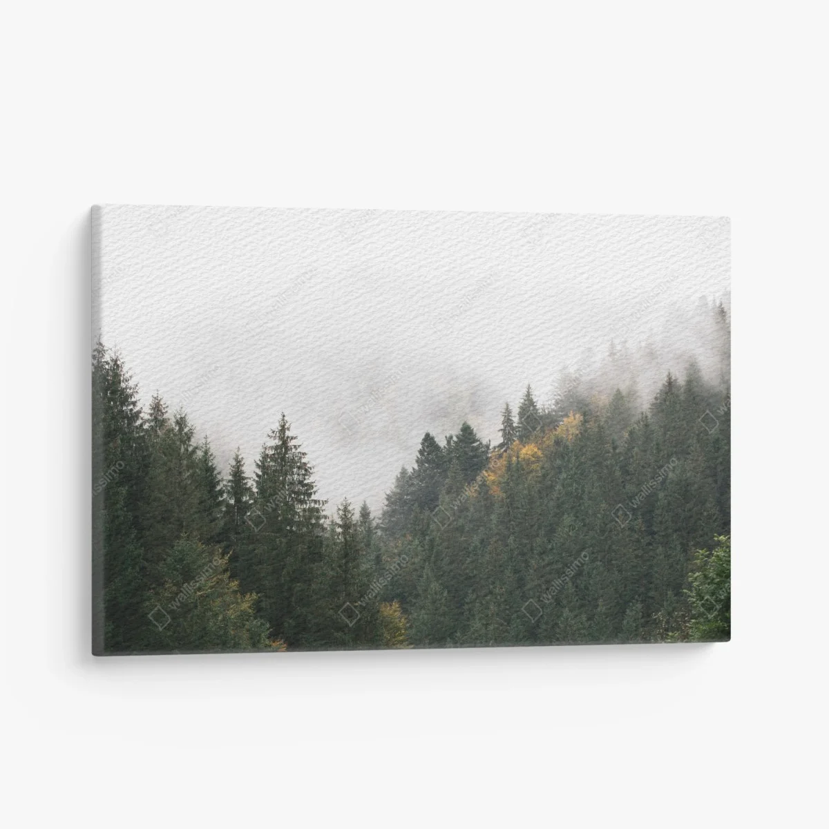 Cuadro en lienzo montañas y abetos envueltos en niebla – Pixers® Cuadro en lienzo montañas y abetos envueltos en niebla – Pixers®