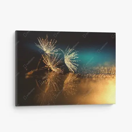 Cuadro en lienzo reflejo dorado de semillas de diente de león – Pixers®