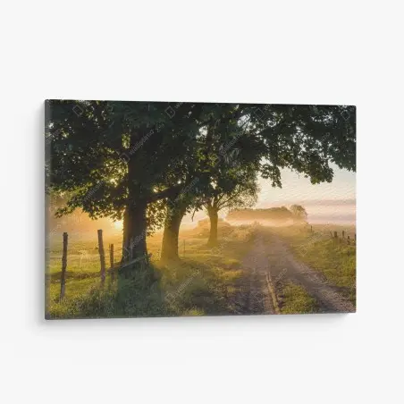 Cuadro en lienzo amanecer en el camino rural entre árboles – Pixers®