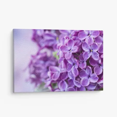 Cuadro en lienzo lilas moradas en primer plano para decoración – Pixers®