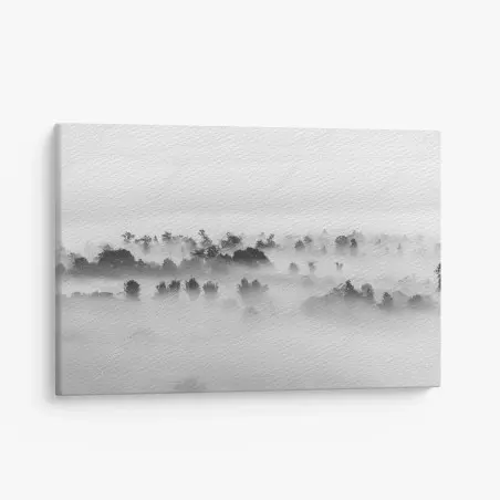 Cuadro en lienzo bosque entre niebla en blanco y negro – Pixers®