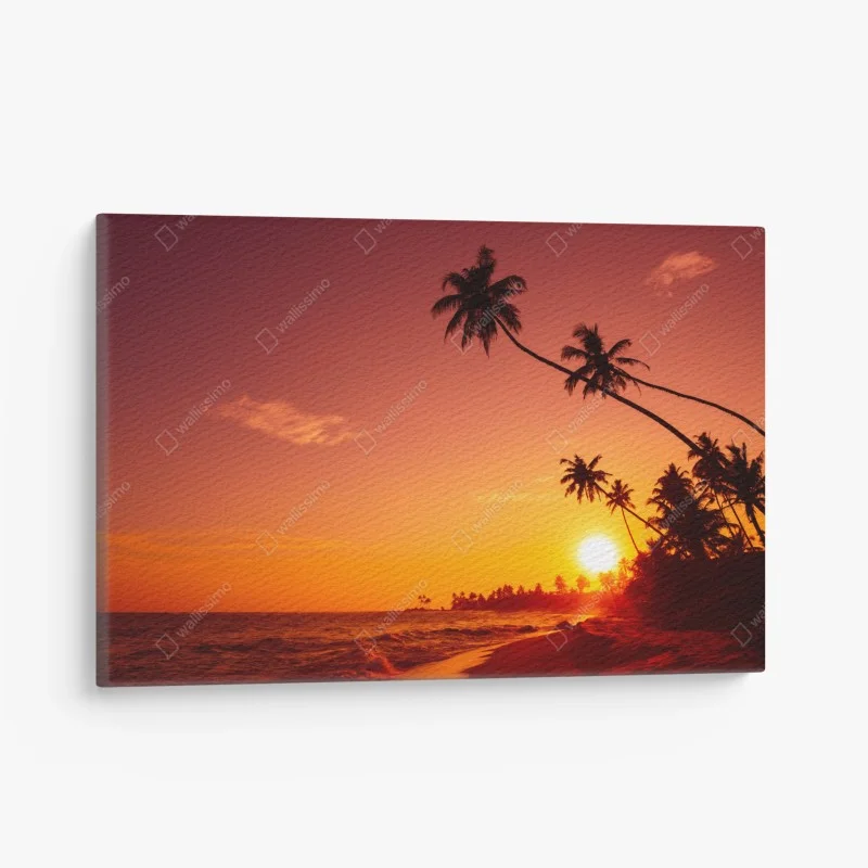 Cuadro en lienzo atardecer tropical con palmeras en la costa
