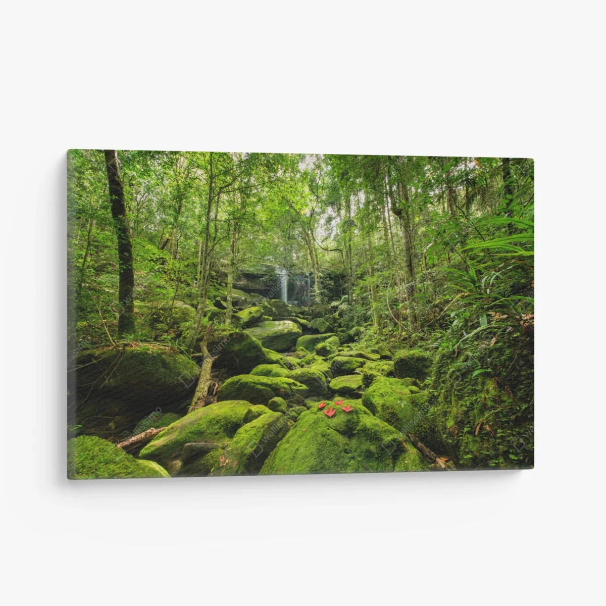 Cuadro en lienzo refugio verde en la selva tropical – Pixers® Cuadro en lienzo refugio verde en la selva tropical – Pixers®