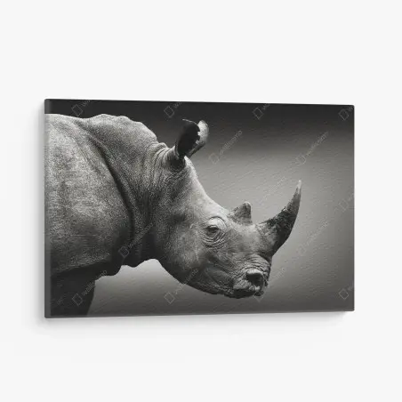 Cuadro en lienzo retrato monocromo de rinoceronte de Sudáfrica – Pixers®