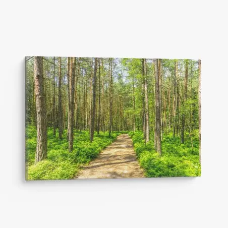 Cuadro en lienzo sendero sereno entre pinos – Pixers®