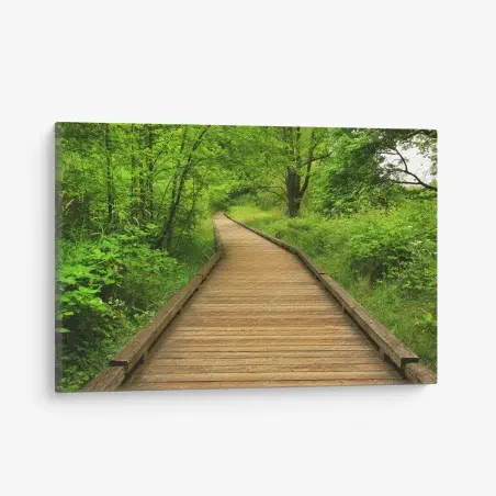 Cuadro en lienzo sendero de madera entre árboles – Pixers®