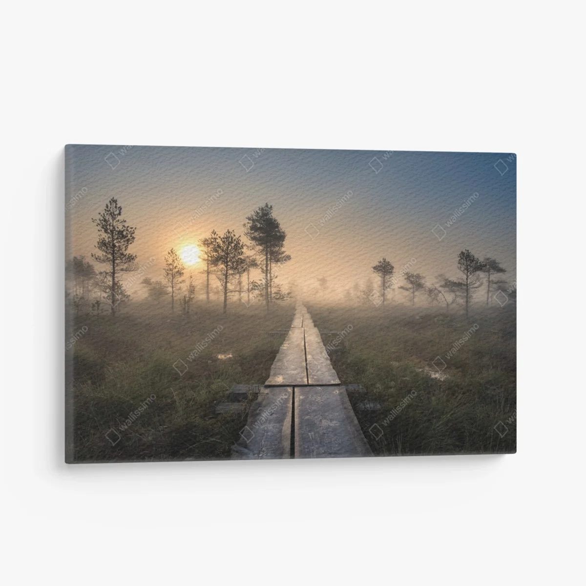Cuadro en lienzo amanecer en el sendero del pantano brumoso – Pixers® Cuadro en lienzo amanecer en el sendero del pantano brumoso – Pixers®