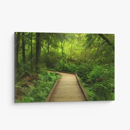 Cuadro en lienzo sendero verde en bosque encantado – Pixers®
