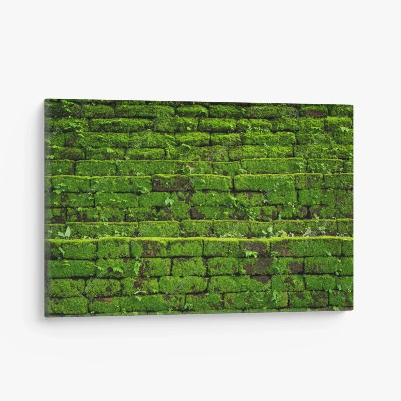 Cuadro en lienzo muro verde cubierto de musgo rústico