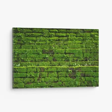 Cuadro en lienzo muro verde cubierto de musgo rústico – Pixers®