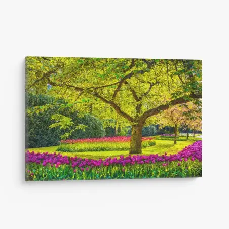 Cuadro en lienzo jardín de tulipanes en Keukenhof – Pixers®