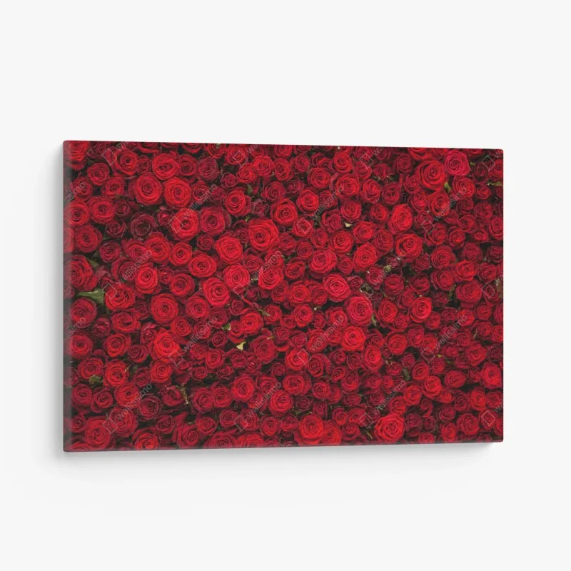 Cuadro en lienzo tapiz de rosas rojas