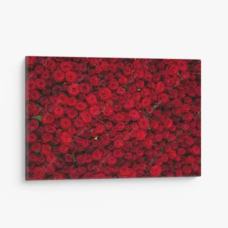 Cuadro en lienzo tapiz de rosas rojas – Pixers®
