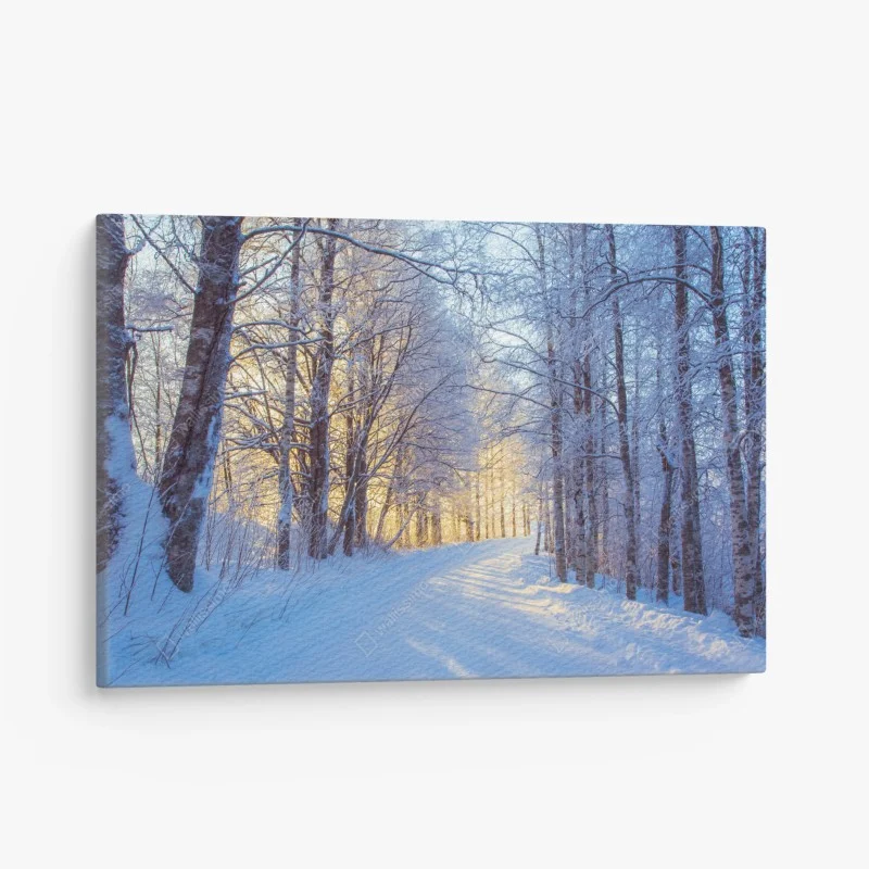 Cuadro en lienzo camino nevado al amanecer en el bosque