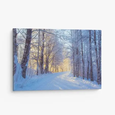Cuadro en lienzo camino nevado al amanecer en el bosque – Pixers®