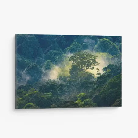 Cuadro en lienzo amanecer en la selva neblinosa – Pixers®