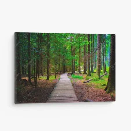 Cuadro en lienzo sendero de madera en bosque verde – Pixers®