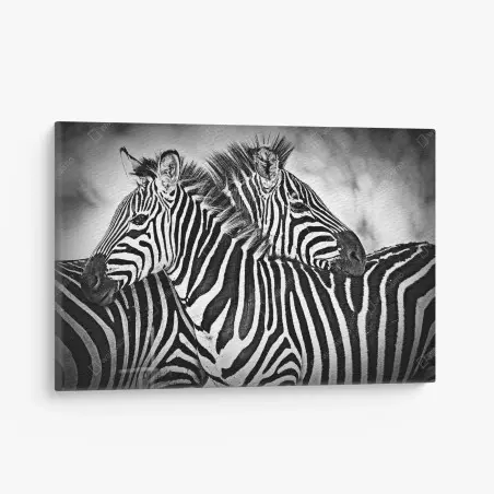Cuadro en lienzo abrazo de cebras en blanco y negro – Pixers®