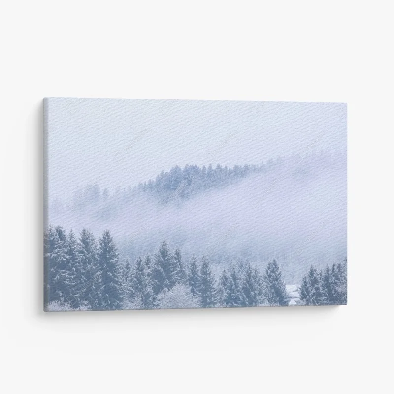 Cuadro en lienzo bosque invernal en niebla, Alemania – Pixers®