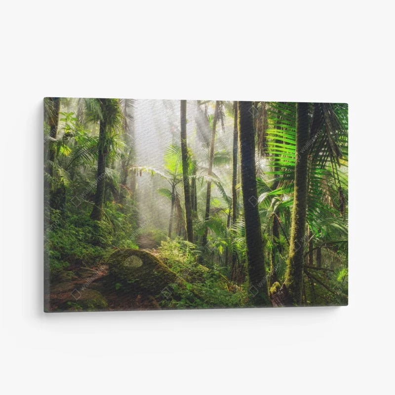 Cuadro en lienzo amanecer en la selva tropical