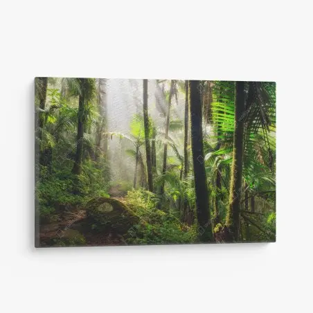Cuadro en lienzo amanecer en la selva tropical – Pixers®
