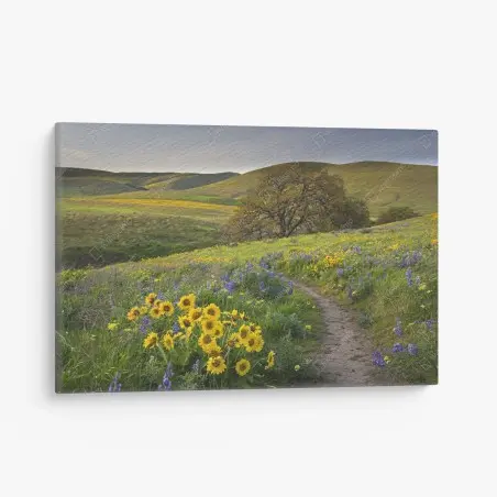 Cuadro en lienzo sendero entre flores silvestres en pradera – Pixers®