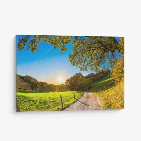 Cuadro en lienzo sendero al atardecer en el campo – Pixers®