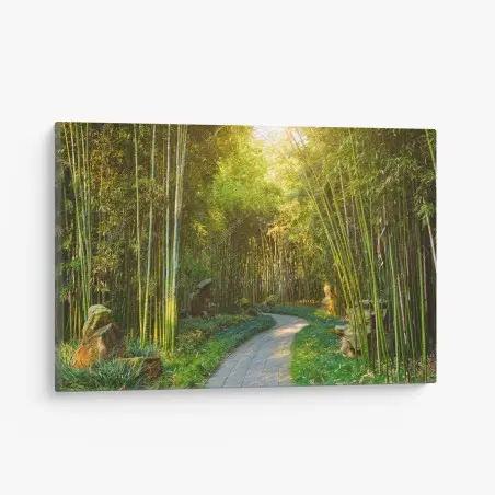 Cuadro en lienzo sendero sereno entre bambús al amanecer – Pixers®