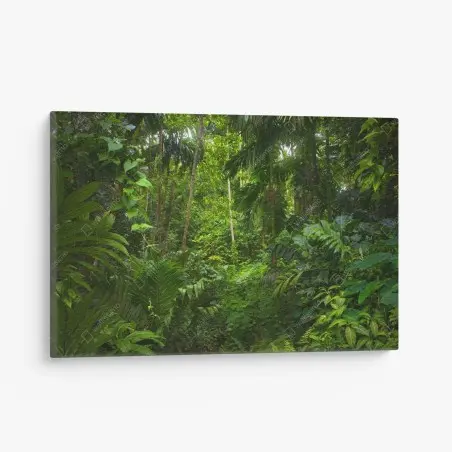 Cuadro en lienzo profundidad verde de la selva – Pixers®