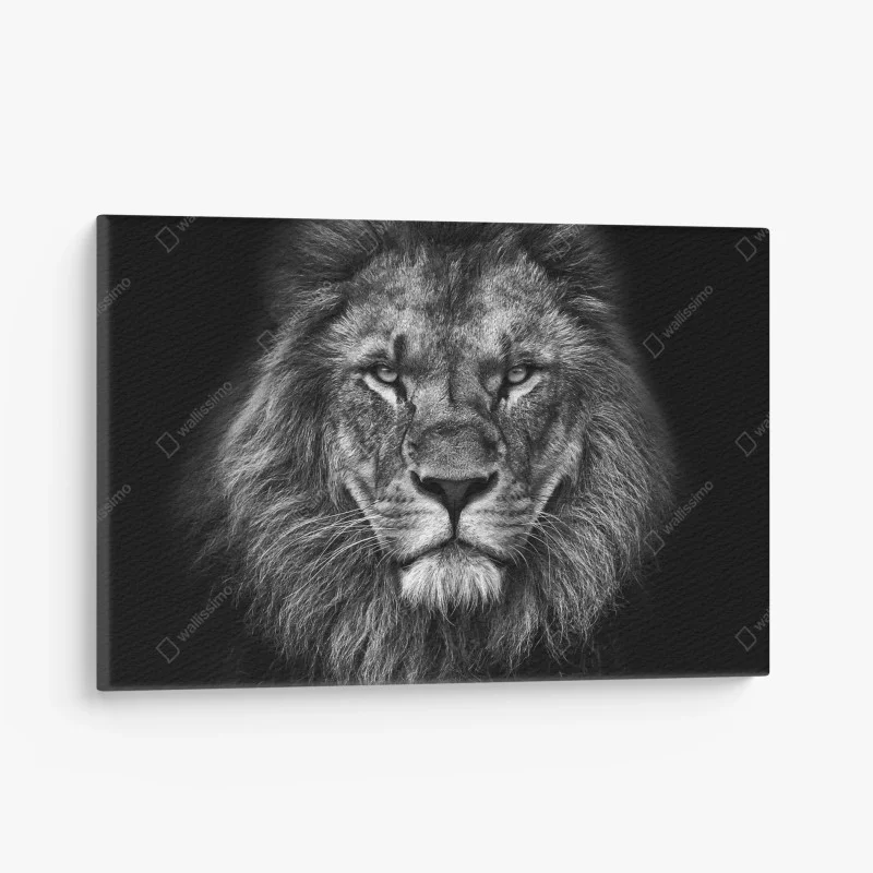 Cuadro en lienzo retrato majestuoso de león en blanco y negro